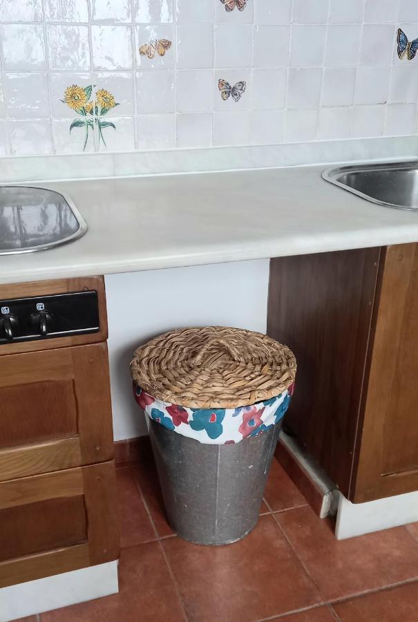 Casa Pescado A La Sombra De Un Drago Apartamento Arrecife  Exterior foto